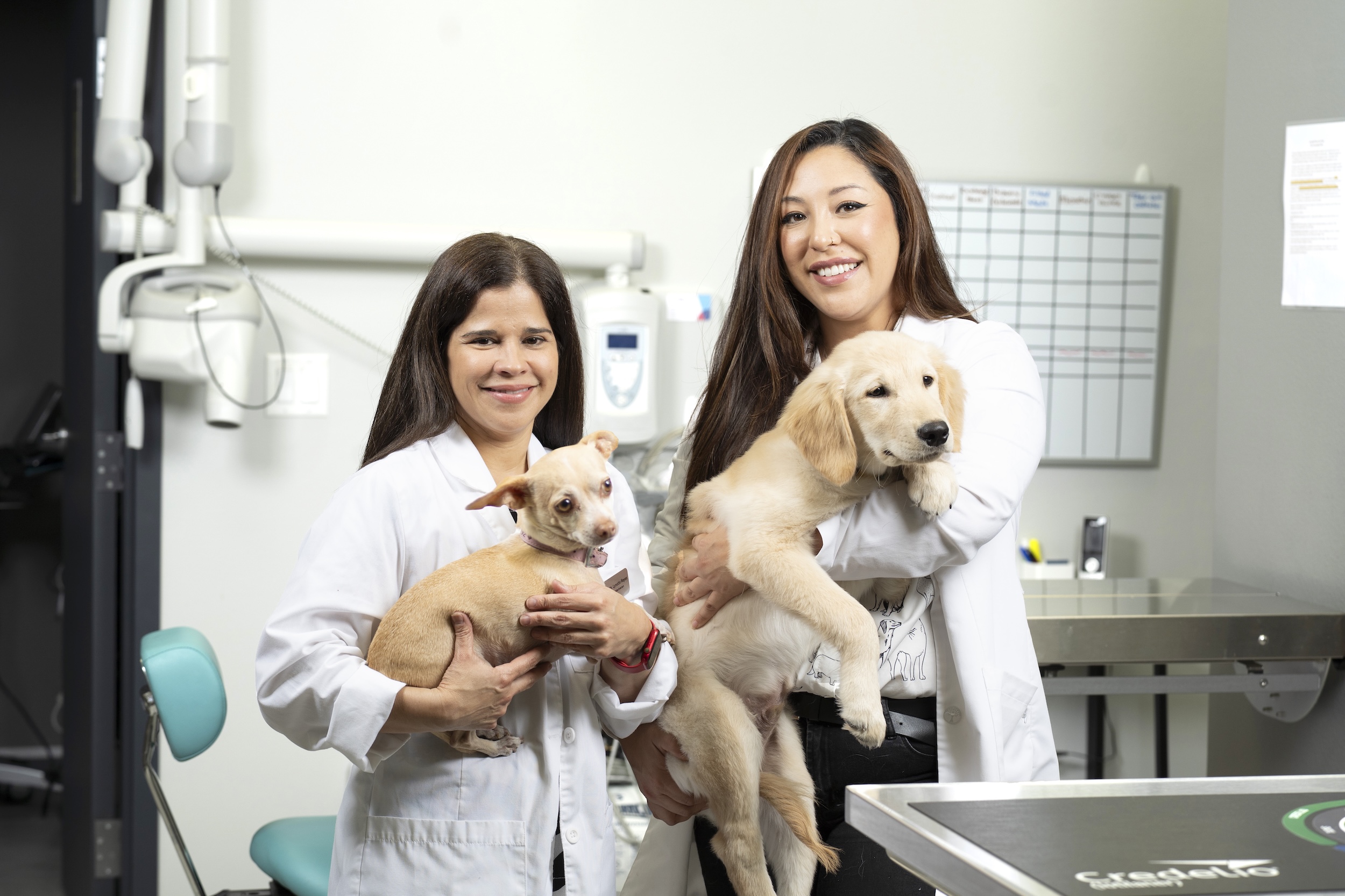 Graceful Paws Vet doctors